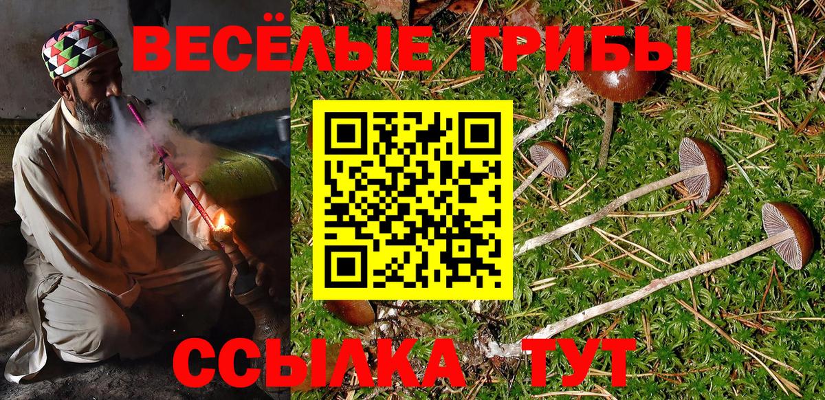 Галлюциногенные грибы Magic Shrooms  Галлюциногенные грибы мухоморы  Вход с VPN  Губкинский 