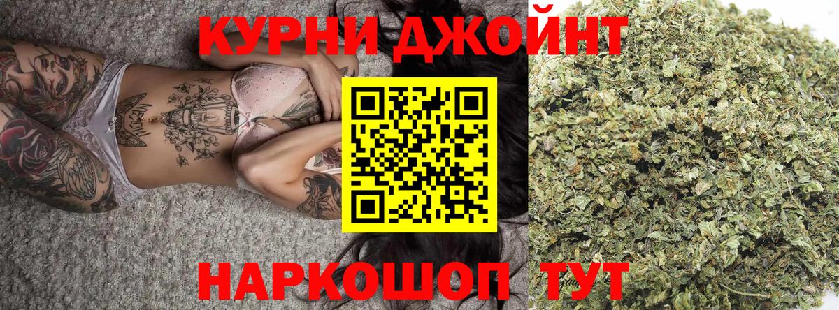 Каннабис сатива Губкинский