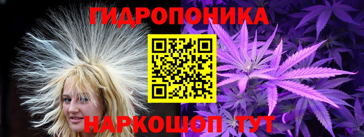 Шишки марихуана VHQ  Марихуана марихуана  Бошки Шишки VHQ  Губкинский  Вход с VPN 